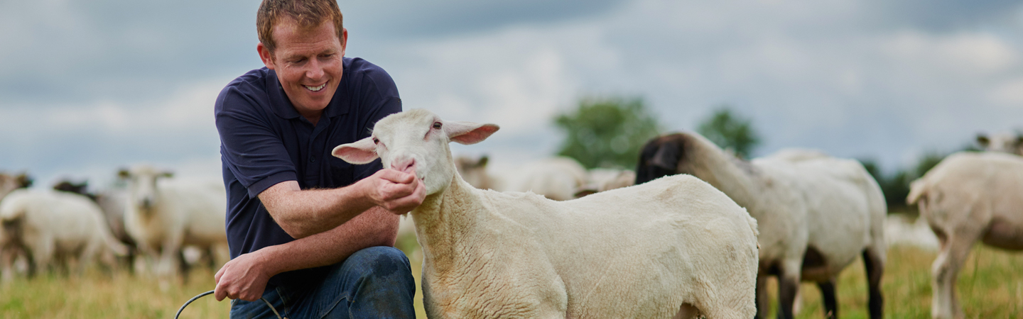 Få hjelp med ditt landbruksregnskap